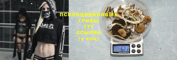 СК Аркадак