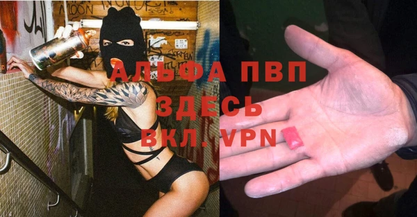 СК Аркадак