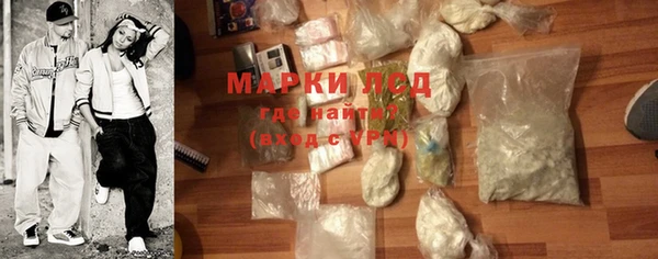 СК Аркадак