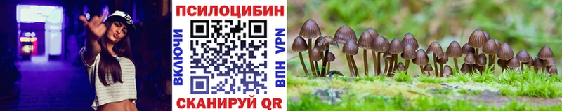 Псилоцибиновые грибы прущие грибы  Волгоград 